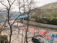 -富斯特索道