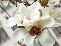 -上海电影博物馆