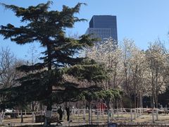 -天津五大道文化旅游区