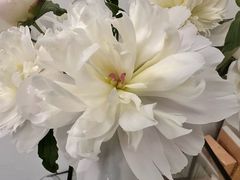 -盒马鲜生(曜一城店)
