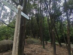 -火炉山森林公园