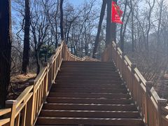 -鲁山国家森林公园