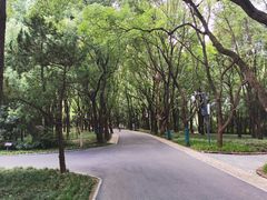 -东湖落雁景区