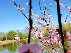 -东郊湿地公园
