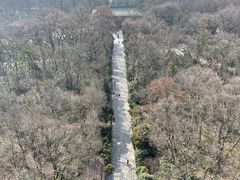 -灵谷景区