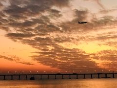 -宝安西湾红树林湿地公园