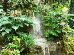 -深圳仙湖植物园