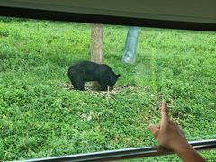 -西安秦岭野生动物园
