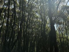 -同里国家湿地公园
