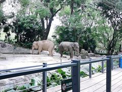 -深圳野生动物园