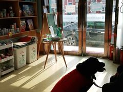 -瑞派宠物医院·中兽医专科(中央商城分院)