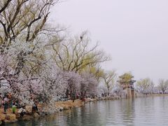 -颐和园