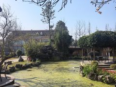 -洪湖家庭农场·团建·露营·会议