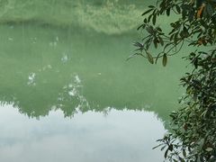 -韶山毛泽东同志故居