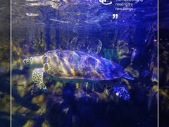 -太平洋海底世界