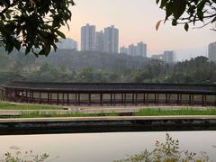 -龙头寺公园