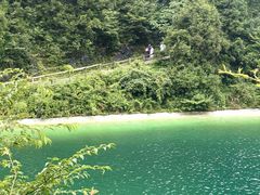 -武陵山森林公园