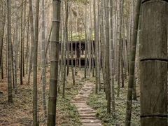 -常德桃花源景区