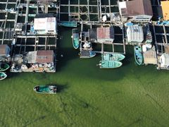 -蓝湾碧波·老字号·疍家非遗海上餐厅