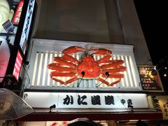 -道顿堀