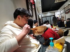 -逗柴咖啡屋·狗咖猫咖宠物桌游