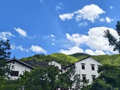 -紫藤园·天目湖大鱼头(南山竹海店)