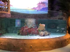 -沈阳海洋探索中心