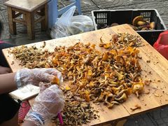 -佳缘野生菌食府