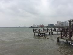 -碧海金沙