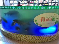 -西海温泉假日酒店-中餐厅