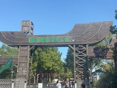 -溱湖国家湿地公园