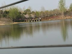 -东郊湿地公园