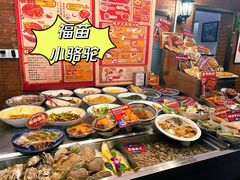 -福苗小骆驼烧烤(莲湖路店)