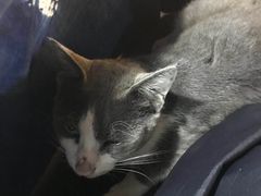 -乡绅本色白家厨坊