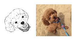 -飛凡TATTOO纹身•原创