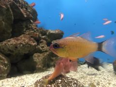 -鹿儿岛水族馆
