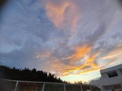 -海岛日记(养马岛店)