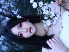 -南山植物园