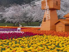 -苏州上方山国家森林公园