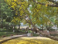-成都市活水公园