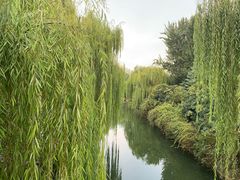 -台儿庄古城