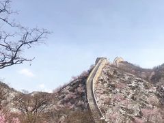-黄土店站