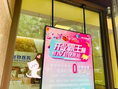 -派联宠物医院·24h·CT·异宠