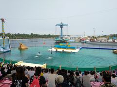 -秦皇岛乐岛海洋王国