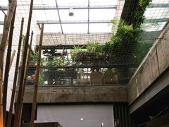 -稍可轩博物馆餐厅