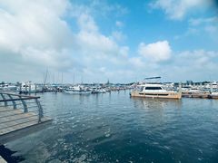 -日照灯塔风景区