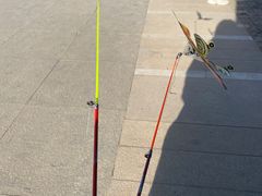 -永定河休闲森林公园