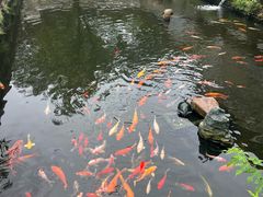 -清漾毛氏文化村