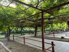 -嘉定紫藤园