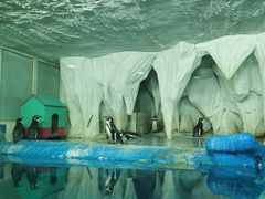 -太平洋海底世界